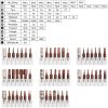 Professional Screwdriver Set Tools, Magnetic Precision Electronics Repair Tools Kit, 60 in 1 for PC, Phone, Laptop, Smartphone, MacBook, Xbox, Toys, Home Appliances, Alloy Steel Screwdriver - Image 4
