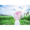 Transparent Dome Umbrella, Beautiful Flower Dome Shape Umbrella, Cherry Blossoms Semi Automatic Umbrella, Romantic & Cute Color - Image 12