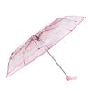 Transparent Dome Umbrella, Beautiful Flower Dome Shape Umbrella, Cherry Blossoms Semi Automatic Umbrella, Romantic & Cute Color
