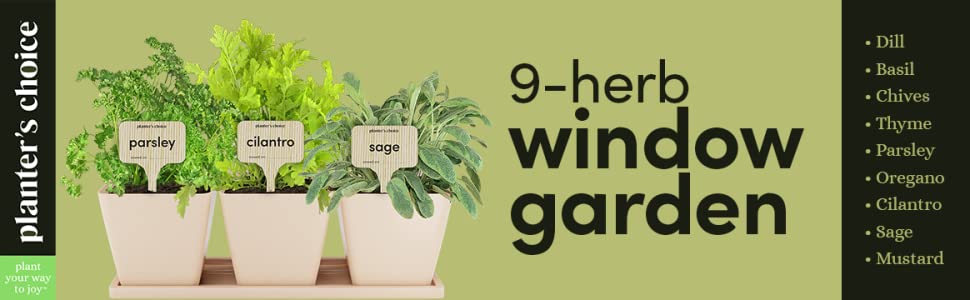 9 herb window garden