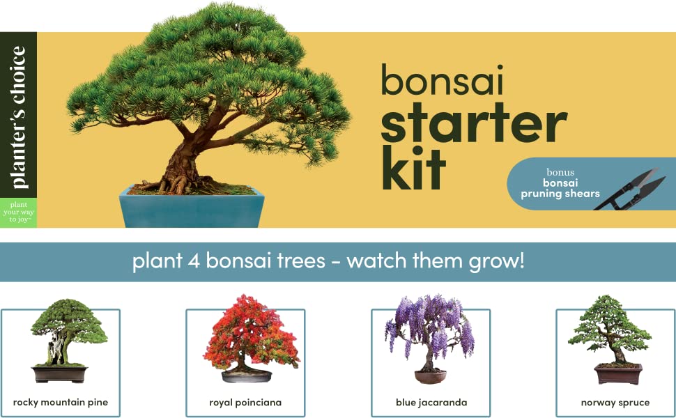 Bonsai Starter Kit