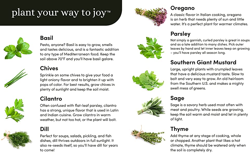 Plant your way to joy