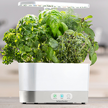 AeroGarden