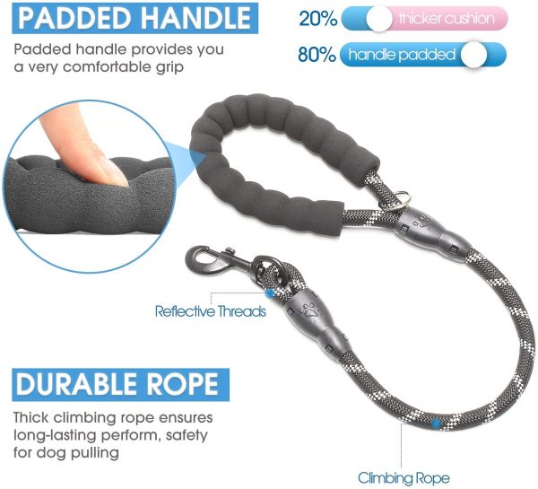 BAAPET 2/4/5/6 FT Strong Dog Leash with Comfortable Padded Handle and Highly Reflective Threads for Small Medium and Large Dogs - Image 2