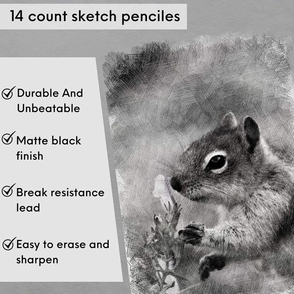 Mr. Pen- Sketch Pencils for Drawing, 14 Pack, Drawing Pencils, Art Pencils, Graphite Pencils, Graphite Pencils for Drawing, Art Pencils for Drawing and Shading, Shading Pencils for Sketching - Image 9