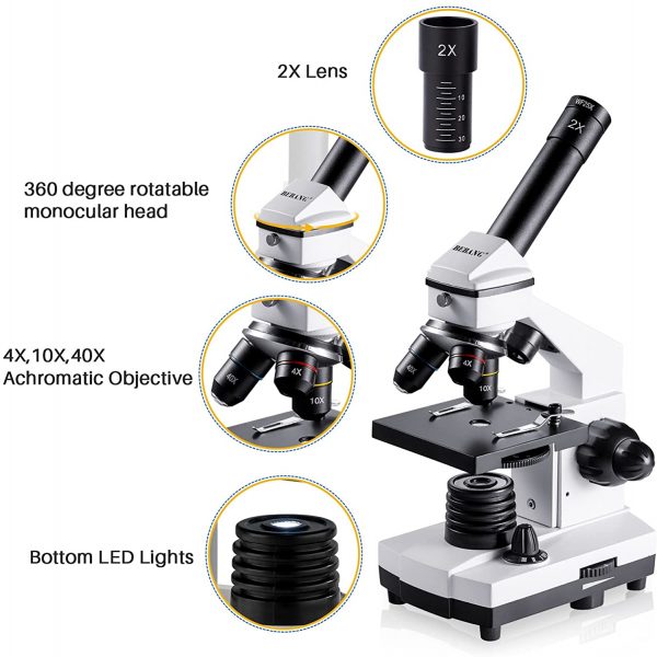 100X-2000X Microscopes for Kids Students Adults, with Microscope Slides Set, Phone Adapter, Powerful Biological Microscopes for School Laboratory Home Education - Image 9