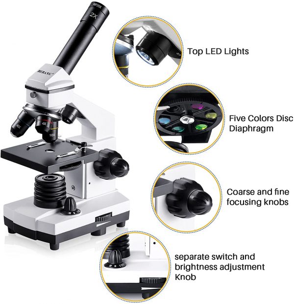 100X-2000X Microscopes for Kids Students Adults, with Microscope Slides Set, Phone Adapter, Powerful Biological Microscopes for School Laboratory Home Education - Image 8