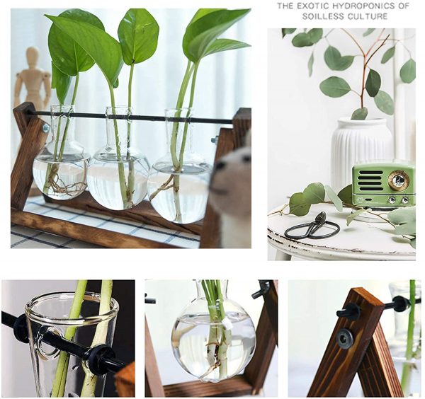 XXXFLOWER Plant Terrarium with Wooden Stand, Air Planter Bulb Glass Vase Metal Swivel Holder Retro Tabletop for Hydroponics Home Garden Office Decoration - 3 Bulb Vase - Image 5