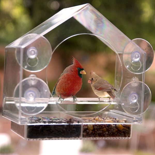 Window Bird House Feeder by Nature Anywhere with Sliding Seed Holder and 4 Extra Strong Suction Cups. Large Outdoor Birdfeeders for Wild Birds. Birdhouse Shape. - Image 6