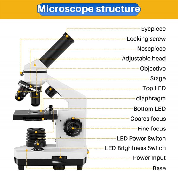 100X-2000X Microscopes for Kids Students Adults, with Microscope Slides Set, Phone Adapter, Powerful Biological Microscopes for School Laboratory Home Education - Image 5