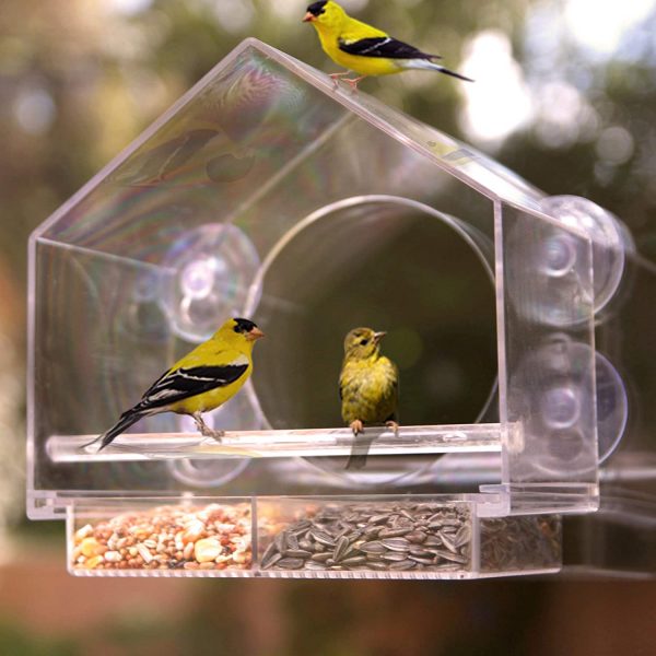 Window Bird House Feeder by Nature Anywhere with Sliding Seed Holder and 4 Extra Strong Suction Cups. Large Outdoor Birdfeeders for Wild Birds. Birdhouse Shape. - Image 5