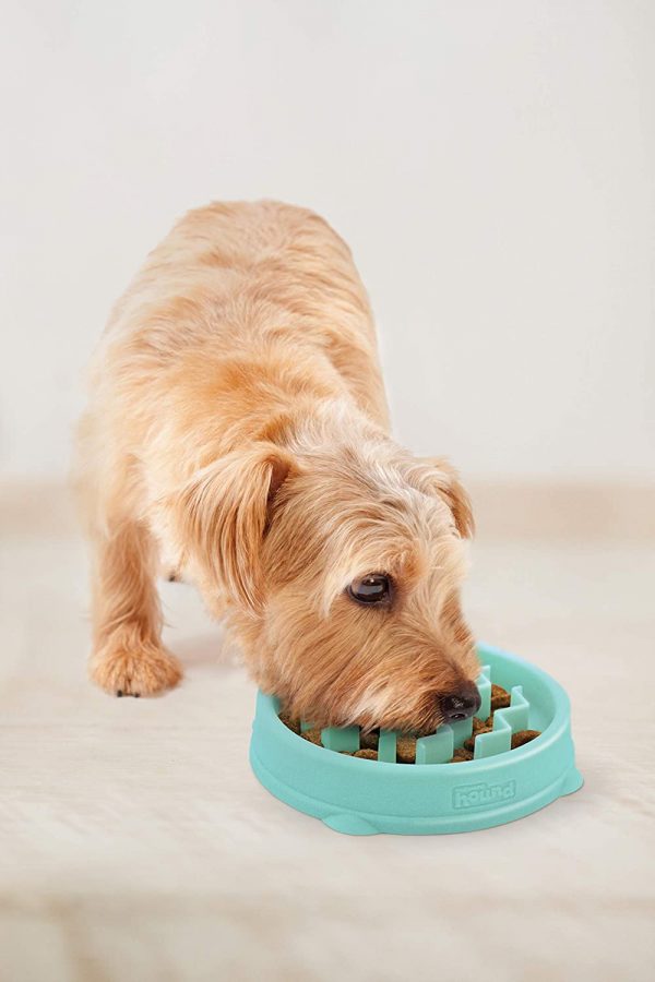 Outward Hound Fun Feeder Slo Bowl, Slow Feeder Dog Bowl, Large/Regular - Image 3