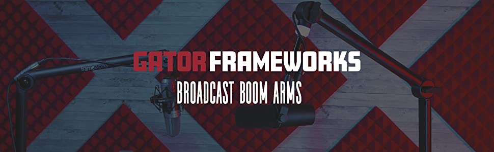 Frameworks BCBM Banner 2021