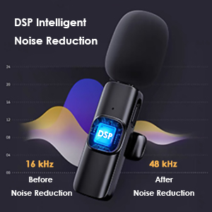 DSP Intelligent Noise Reduction