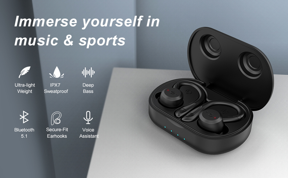 Bluetooth Wireless Earbuds