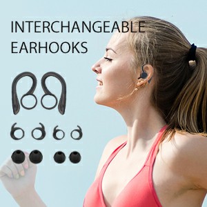 Interchangeable Earhooks