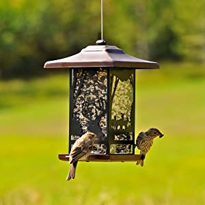 Perky-Pet Wilderness Lantern Wild Bird Feeder