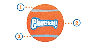 dog ball, chuck it balls, dog balls, chuck it, chuckit, dog balls indestructible, chuckit ball,