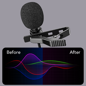 Professional lapel mic