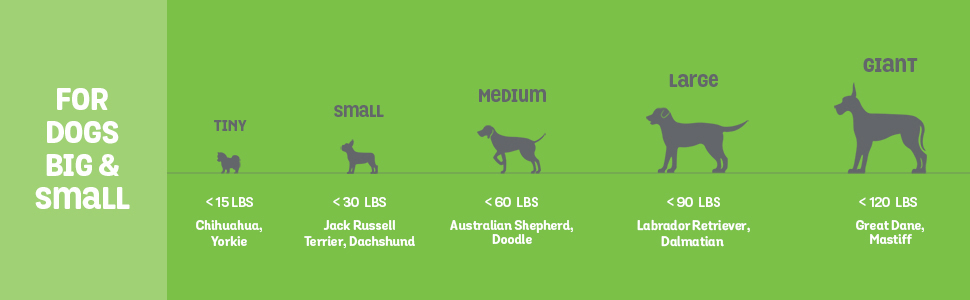 A graphic showing the different size of dogs and what respective size Benebone dog toys they need.