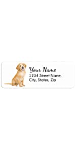 golden retriever dog personalized gift