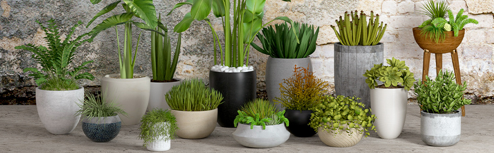 planter pots shelf