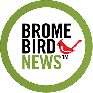 brome bird news 