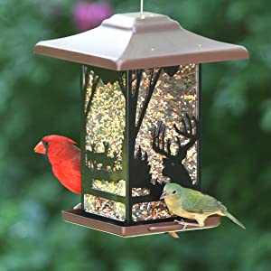 Perky-Pet Wilderness Lantern Wild Bird Feeder