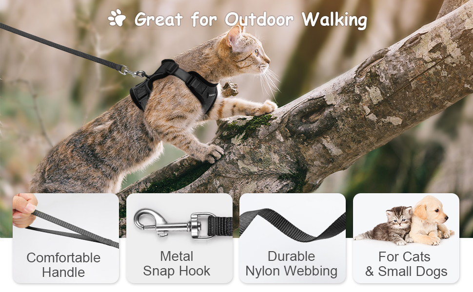 simple cat leashes 2 pack