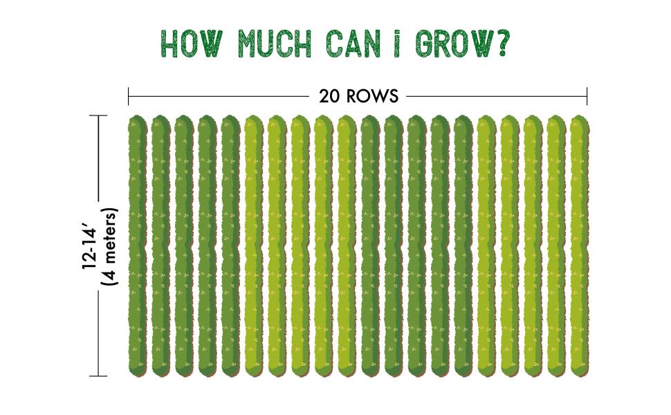 how much space for large survival garden plot
