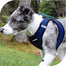 dog harnesses for extra small dogs, no pull, with handle, reflective dog vest, adjustable, durable