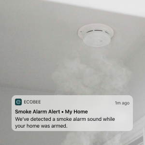 Smoke alarm detection