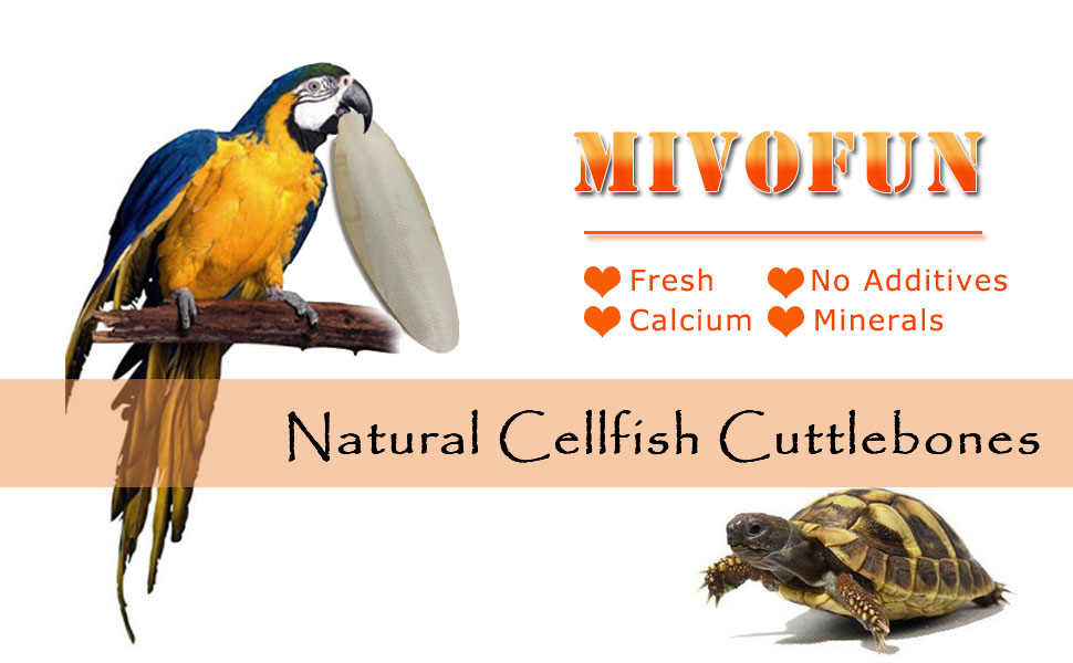 mivofun natural cellfish cuttlebones