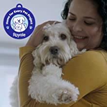 Royale Home for Every Pets Project