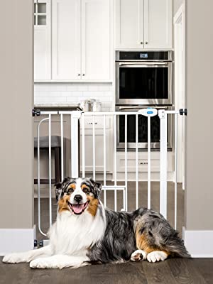 Carlson extra wide walk through pet gate