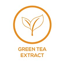 Green Tea Extract appetite suppression reduce hunger curb appetite fat burner energy focus