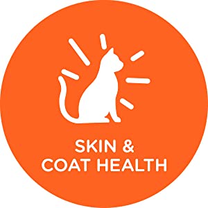 Skin Care, Coat Health, Skin and Coat, Omega 3, Omega 6, Healthy Skin, Pet Care, Shiny Coat
