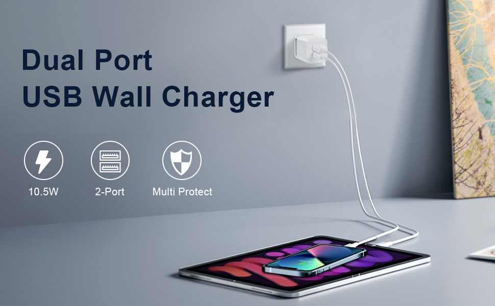 dual port iphone charger