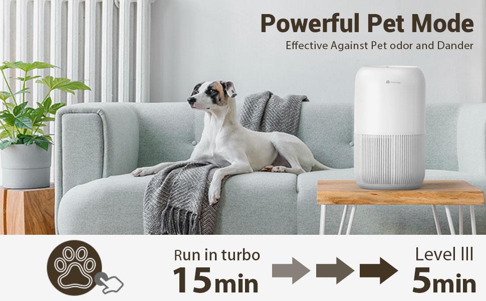 air purifier for pets dander and odor