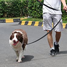 long lead,long dog lead,dog lead,dog leash long,dog tie out,extra long leash,long leash for backyard