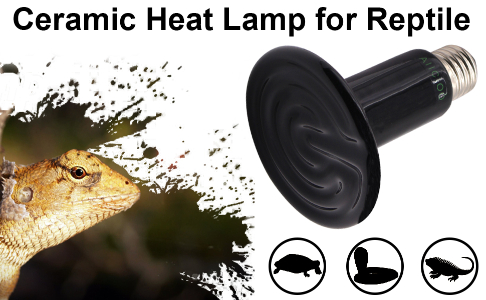 reptile heat lamp