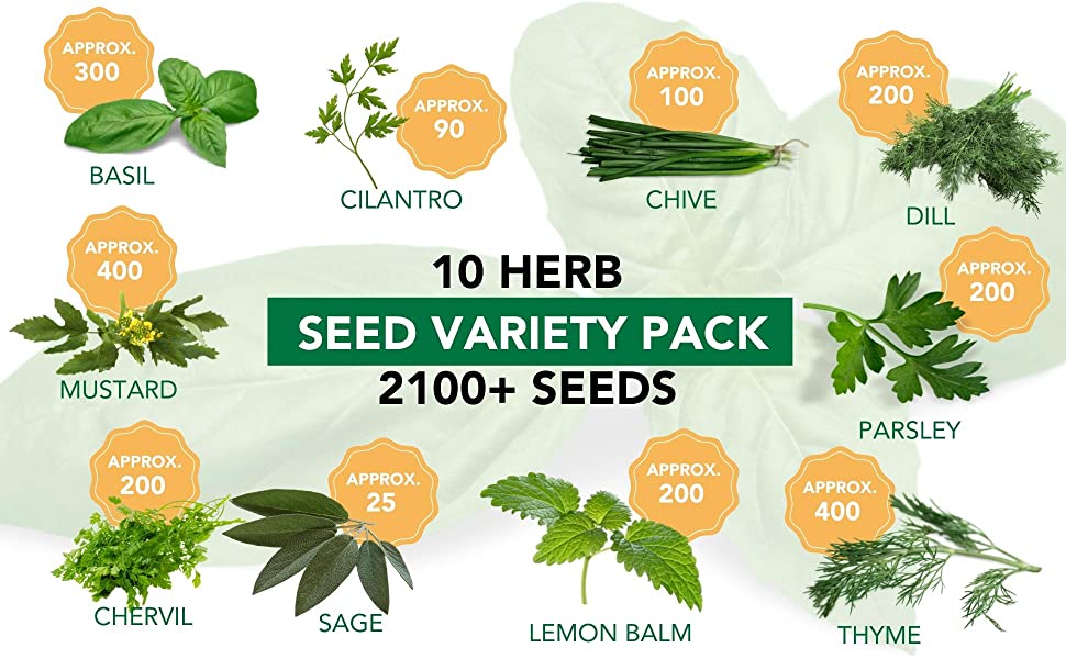 10 herb seed variety pack