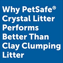 cat litter box litterbox self cleaning automatic clean petsafe scoopfree pet scoop