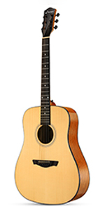 Acoustic Beginner Guitar