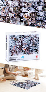 Cat World Jigsaw Puzzles