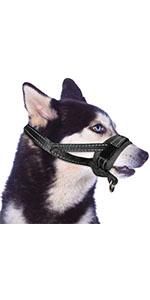 dog muzzle