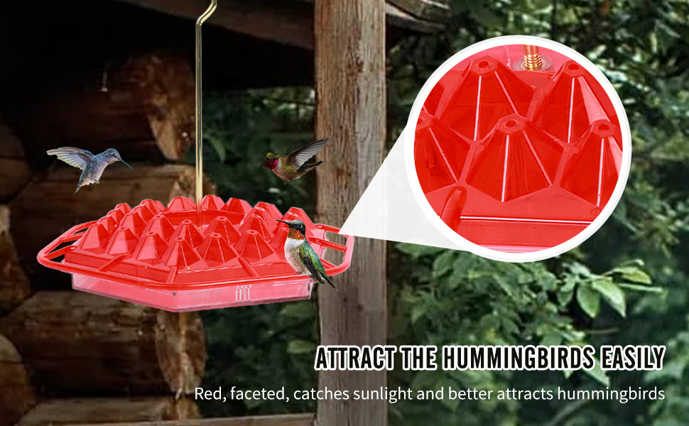 Hanging Hummingbird Feeder Window with Perch And Built-In Ant Moat for Garden 