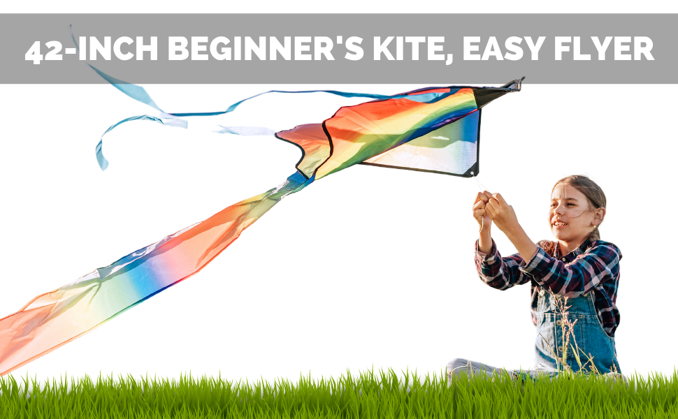 kites for kids easy to fly 