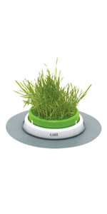 Senses Grass Planter