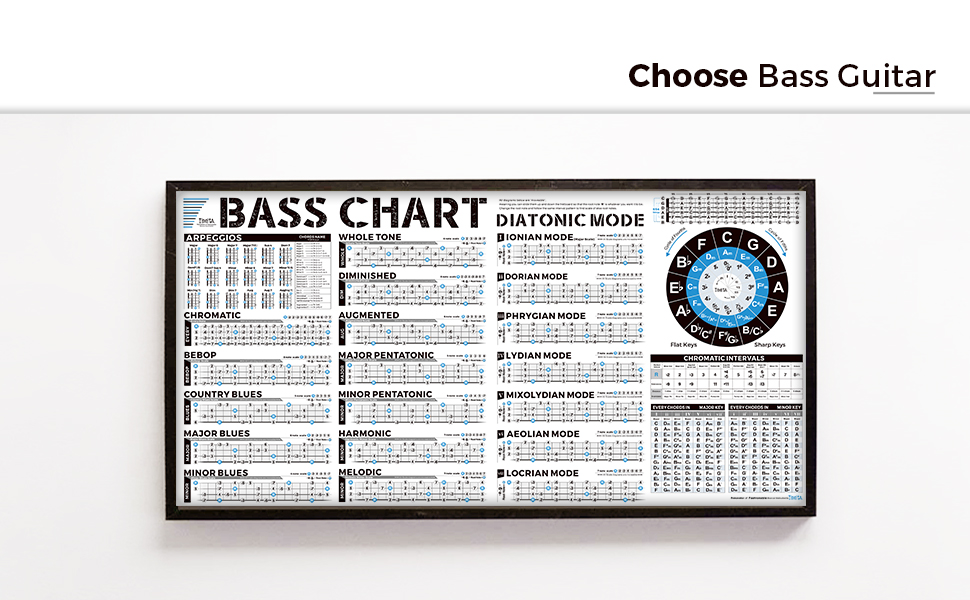 bass poster